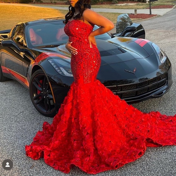 Dresses & Skirts - The ROSETTA Gown, medium 8-10